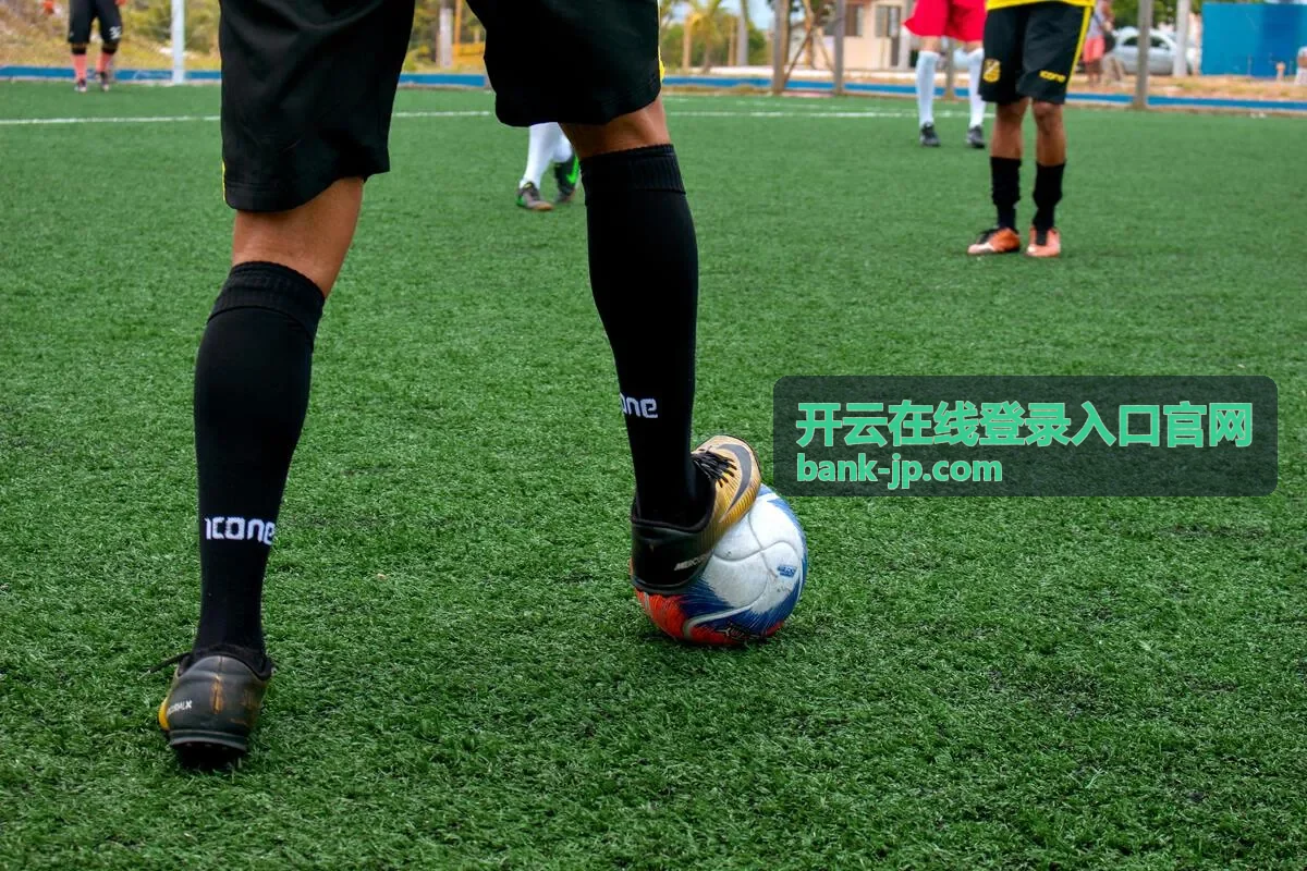 开云在线登录入口官网验证码与双重验证处理封面